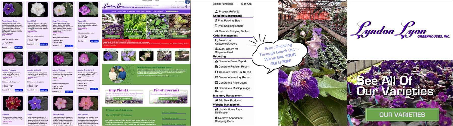 e-Commerce system built for Lyndon Lyon Greenhouses, Inc. of Dolgeville, NY